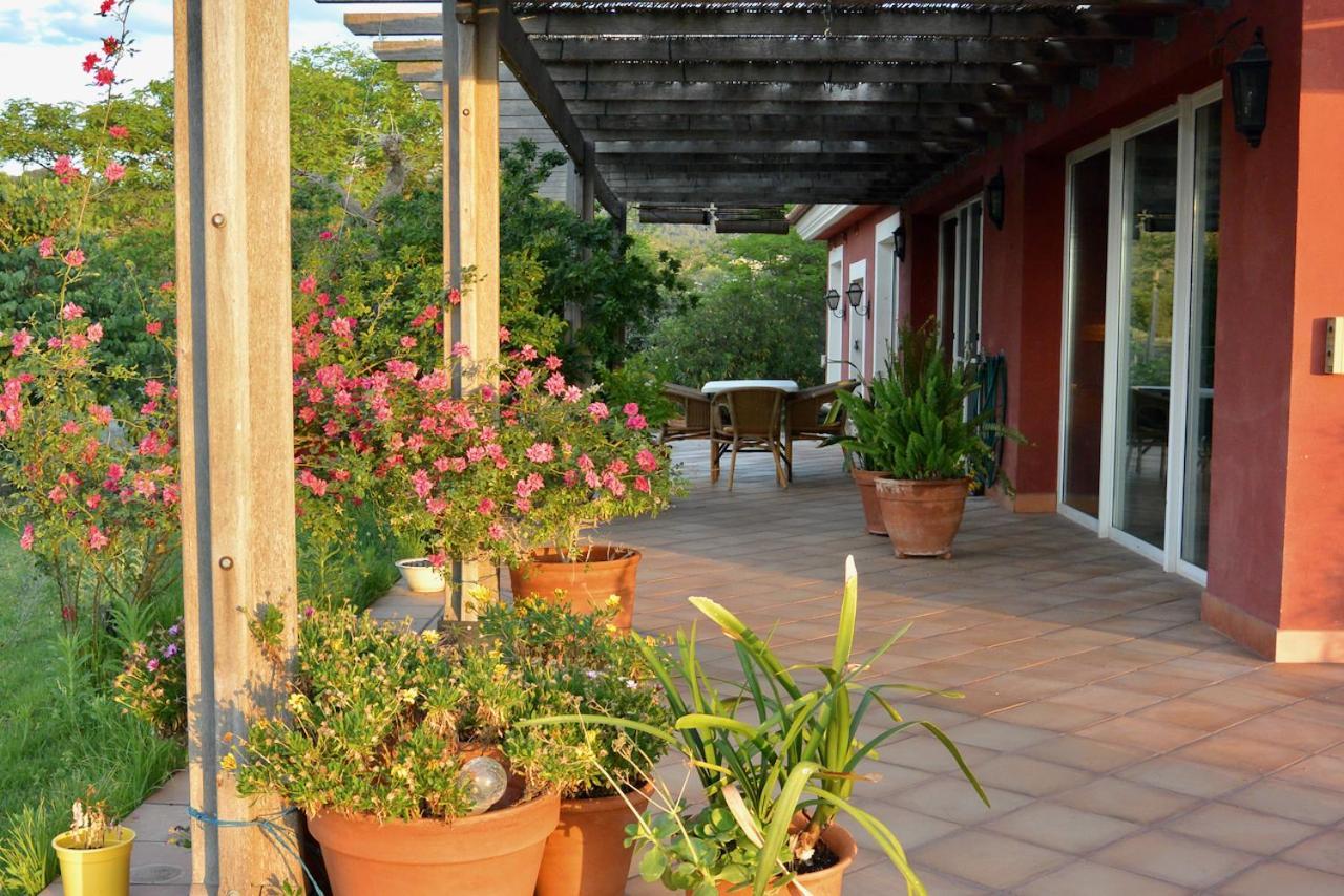 L'Albaida, Tranquility, Views Of Sea And Mountains Apartment Vilanova de Escornalbou Екстериор снимка