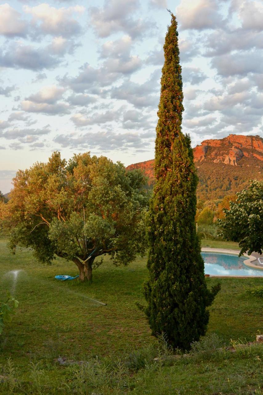 L'Albaida, Tranquility, Views Of Sea And Mountains Apartment Vilanova de Escornalbou Екстериор снимка
