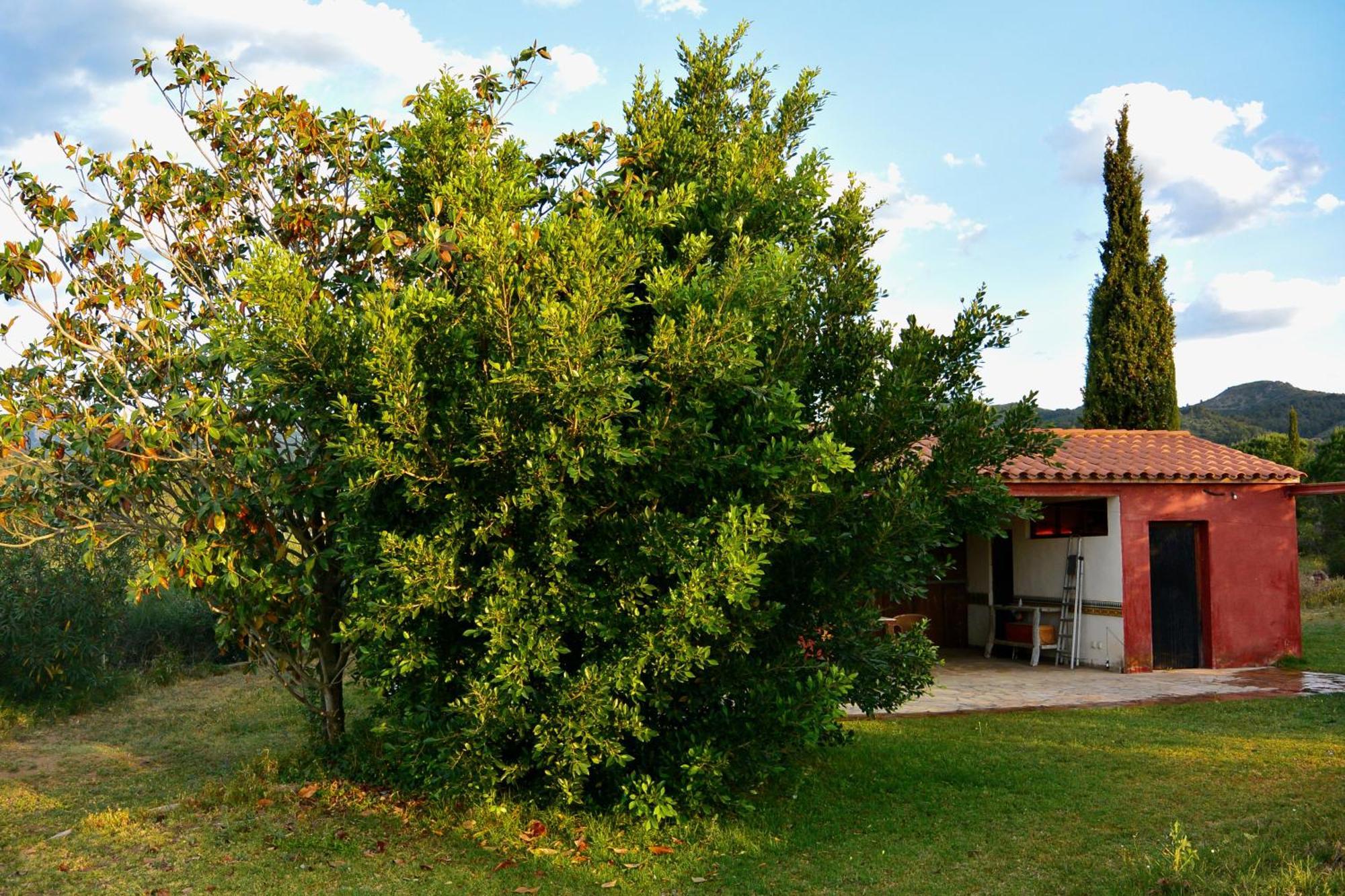 L'Albaida, Tranquility, Views Of Sea And Mountains Apartment Vilanova de Escornalbou Стая снимка