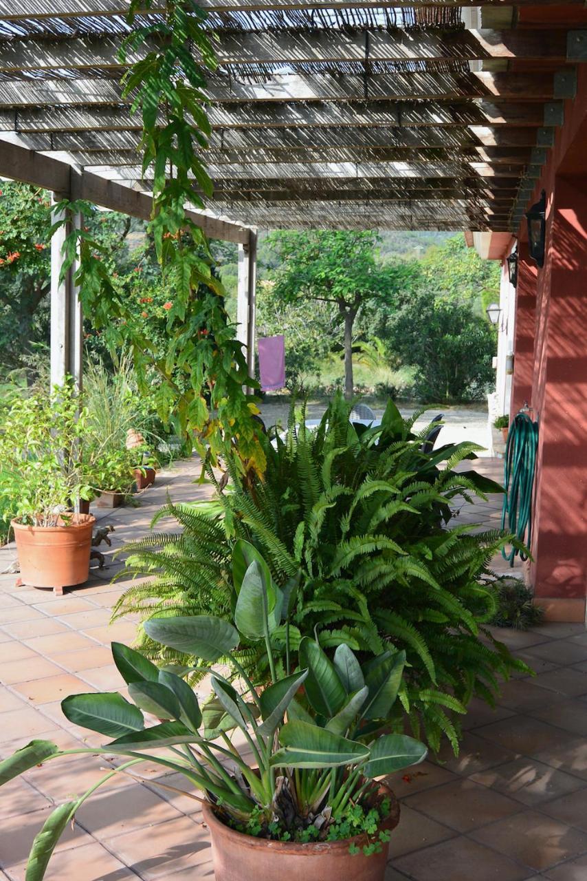 L'Albaida, Tranquility, Views Of Sea And Mountains Apartment Vilanova de Escornalbou Екстериор снимка